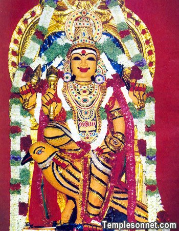Thirukollikadu Shani Temple – Pongu Shani Bhagawan shrine in Tamil Nadu